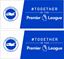 Picture of Brighton and Hove Albion FC  Decals / Stickers