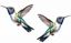 Picture of Humming Bird Decals / Stickers