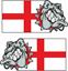 Picture of Bulldog St George Decals / Stickers