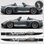 Picture of 718 Spyder RS side Stripes