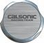Picture of Calsonic Radiator Decal  / Sticker