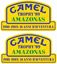Picture of Land Rover Camel Trophy Amazon 1989 Decals / Stickers