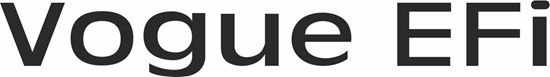 Picture of Range Rover Classic Vogue EFi replacement rear Decal / Sticker
