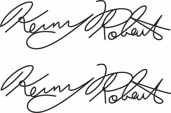 Picture of Yamaha Kenny roberts Decals / Stickers