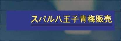 Picture of Subaru Motor OHME/Hachiouji Tokyo Dealer rear glass Sticker