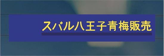 Picture of Subaru Motor OHME/Hachiouji Tokyo Dealer rear glass Sticker