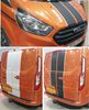Picture of Transit Custom Barn Doors (H1) 2018 - 2023  Bonnet ,Bumper & Barn Door Stripes / Stickers