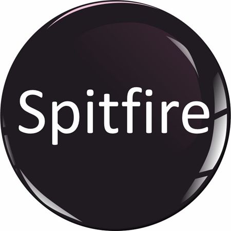 Picture for category Triumph Spitfire