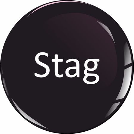 Picture for category Triumph Stag