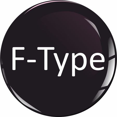 Picture for category Jaguar F-Type