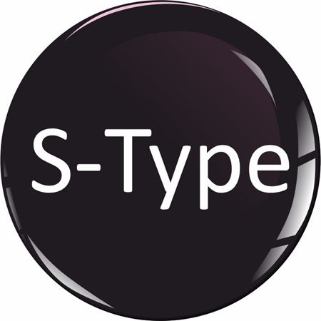 Picture for category Jaguar S-Type